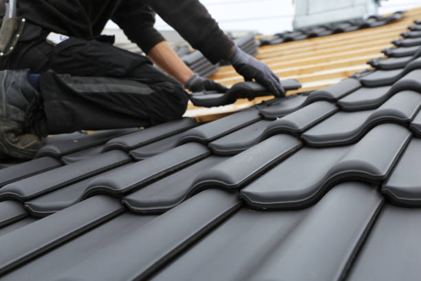 Best Roof Insulation Installation  in USA